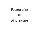 Bazar lyže Elan Race GS s vázáním Tyrolia SP 120 model 2009
